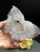 Stunning Druzy Agate Butterfly with a gorgeous rich sparkling druzy centre