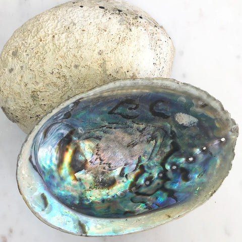 Abalone Shell Smudging 
