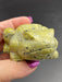 Serpentine Crystal Frog Toad