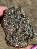 Pyrite Cluster - Various Choices