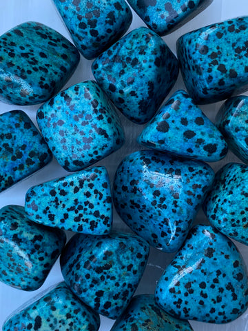 Blue Dalmation Jasper Tumbled Stone