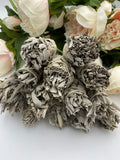 White Sage Smudge Stick