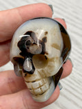 Black Banded Agate Skulls - Various Choices