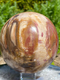 Petrified Wood Sphere - large