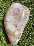 Flower Agate Palm Stone