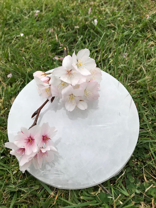 Selenite/Satin Spar Charging Plate - 12/13cm