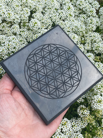 Shungite Flower of Life Coaster Plate