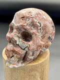 Mexico Crazy Lace Agate Skull