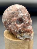 Mexico Crazy Lace Agate Skull