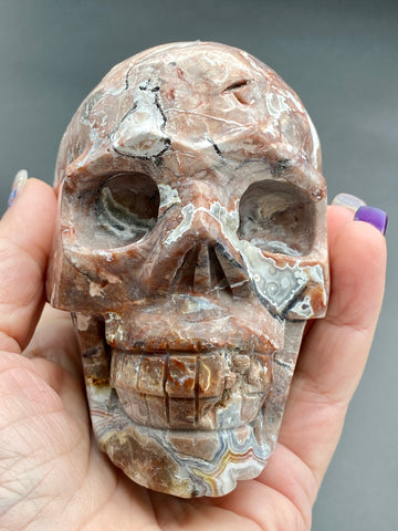 Mexico Crazy Lace Agate Skull