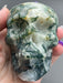 Moss Agate Druzy Crystal Skull