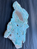 Caribbean Blue Aragonite Slab - Various Choices