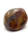 Moss Agate Large Tumble Palm Stone