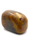 Moss Agate Large Tumble Palm Stone