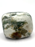 Moss Agate Large Tumble Palm Stone