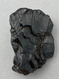 Elite/Noble Shungite - XL - (23.5gm-32.6gm)