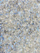 Opalite Crystal Chips