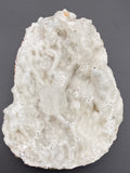 Apophyllite Raw Specimen