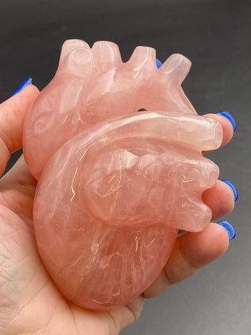 High Quality Rose Quartz Crystal Anatomical Heart